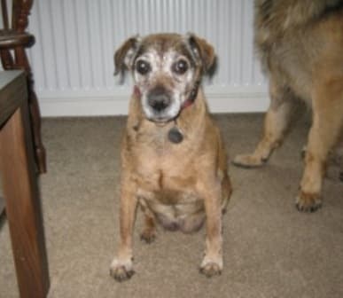 Little laid-back Lucy — Unknown