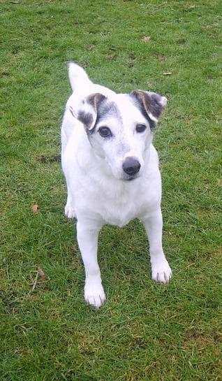 Cute Kenny Russell — Unknown