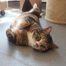 Baby Girl — Unknown