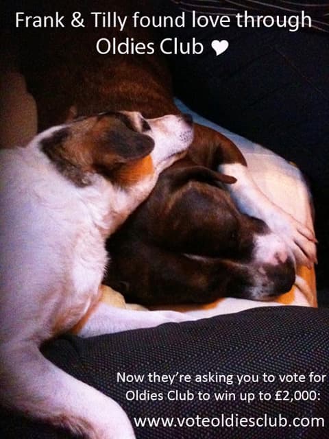 Big Break voting has closed — Unknown