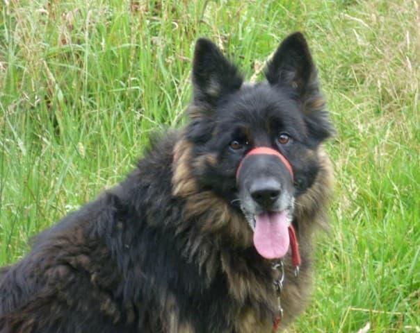 Sapphire — Unknown