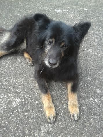 Max Satisfaction — Unknown