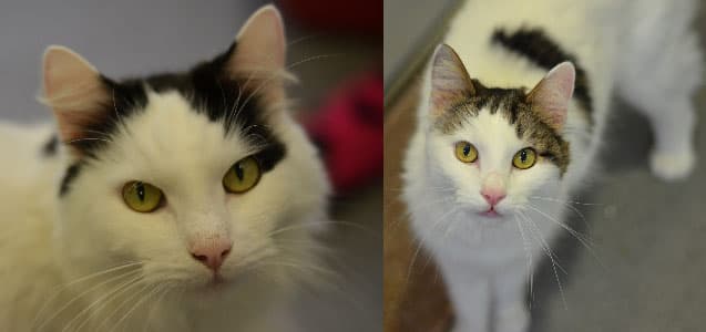 Ben and Barney — Unknown