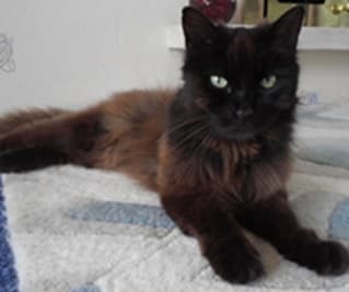 Billy and Bella — Unknown