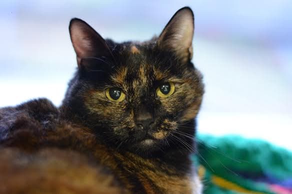 Marcy and Willow — Unknown