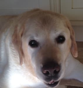 Wonderful Woggle — Unknown