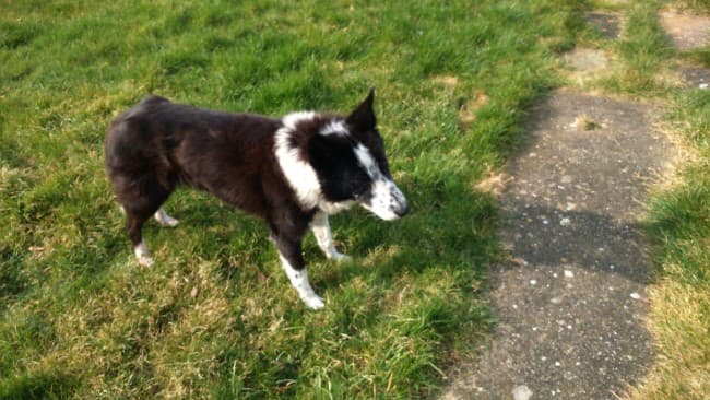 Charlotte — Unknown