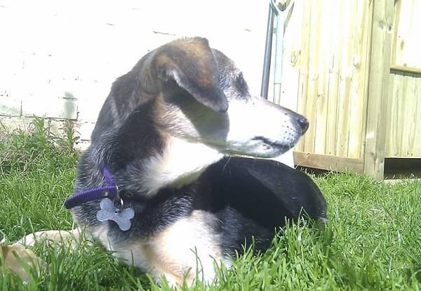 Mysterious Millie — Unknown