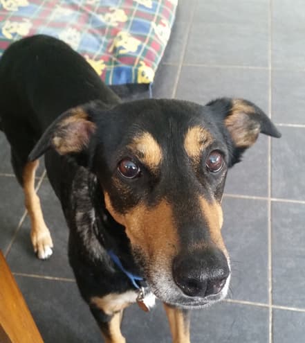 Miss Ellie — Unknown