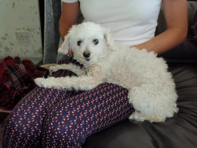 Izzy – adventurer in a rucksack — Unknown