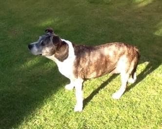 Not nutty, Nutty — Unknown