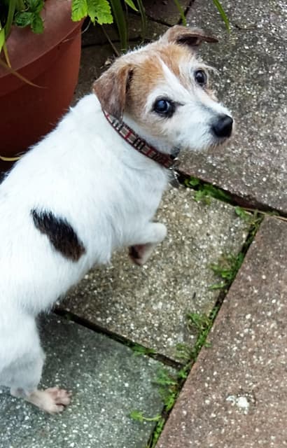 Pretty Penny — Unknown