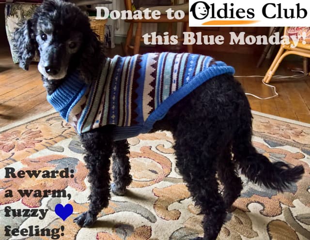 *Warm, fuzzy feeling Monday* — Unknown