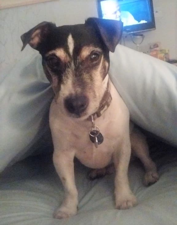 Sam’s living happily ever after — Unknown