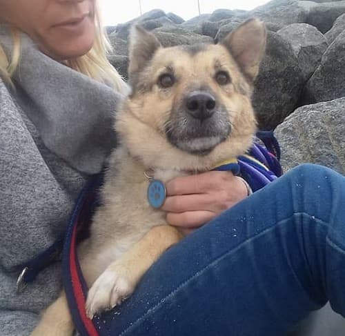 Priscilla — Unknown