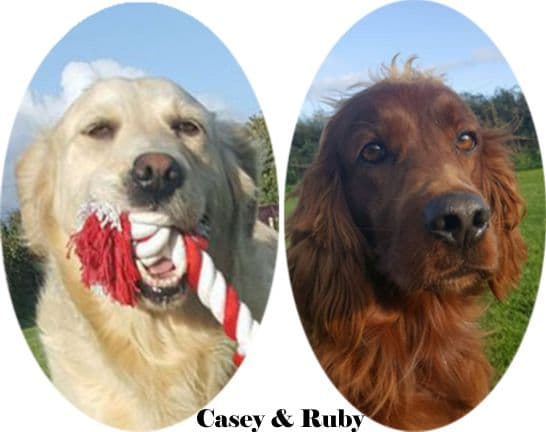 Casey and Ruby — Unknown