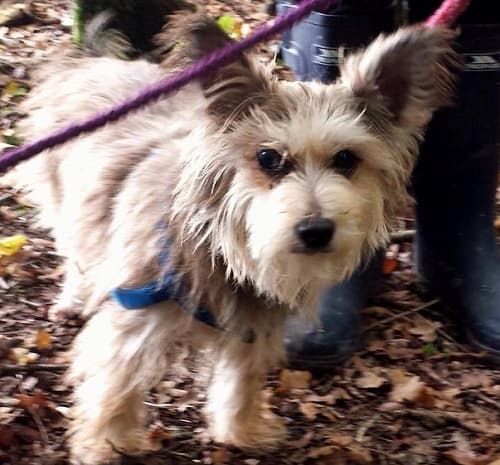 Harry & Timmy — Unknown