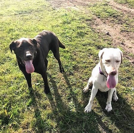 Jack and Poppy — Unknown