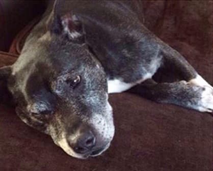 Mitchell — Unknown