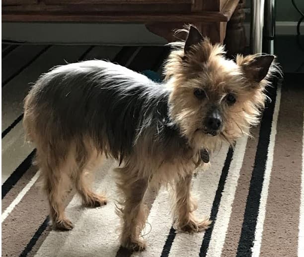 Teeny Tara — Unknown