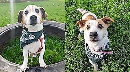 Benji and Mattie — Unknown