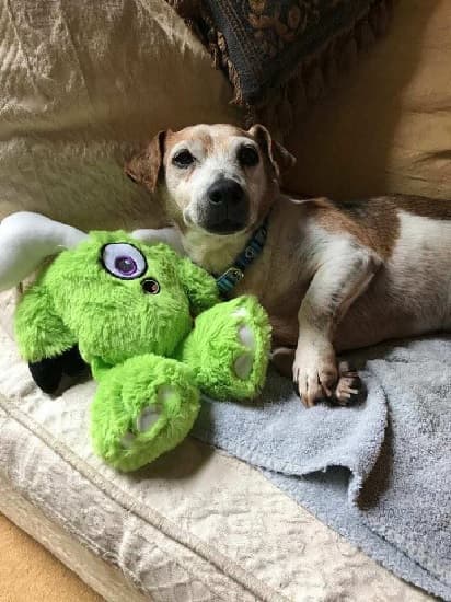 Cheeky Bacon! — Unknown