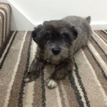 Lovely Lana! — Unknown