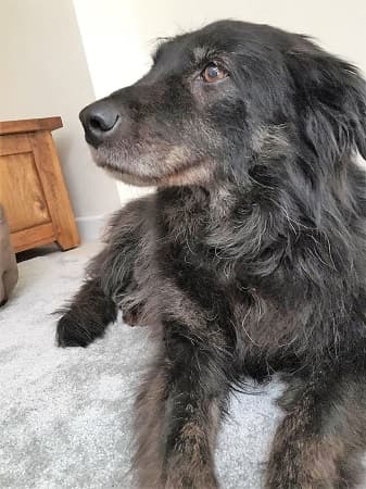 Babushka — Unknown