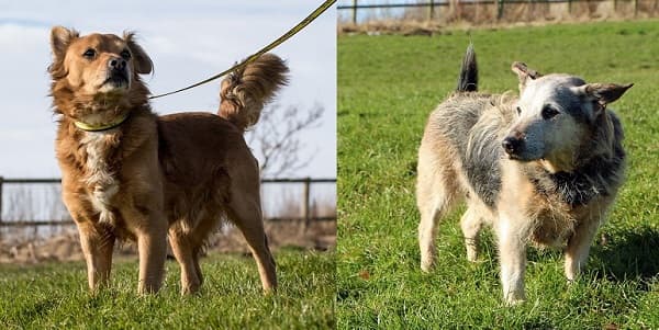 Bert & Ernie — Unknown