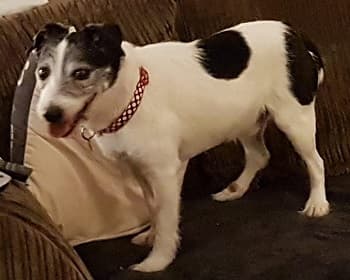 Poor little Eddie — Unknown