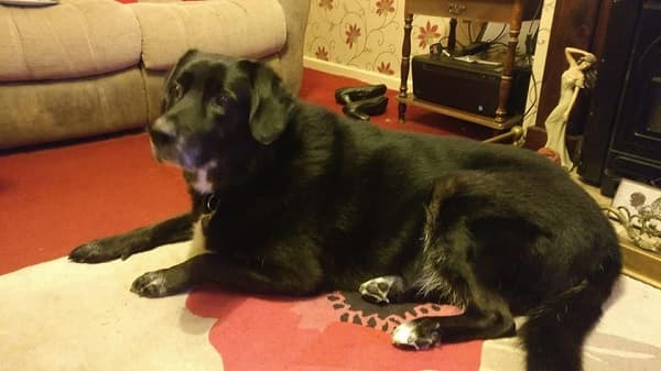 Marvellous Monty — Unknown