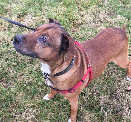 Clarksie — Unknown