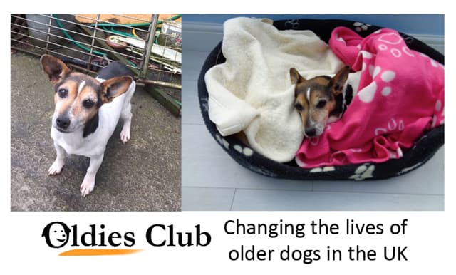 Please help us to help Patch — Unknown