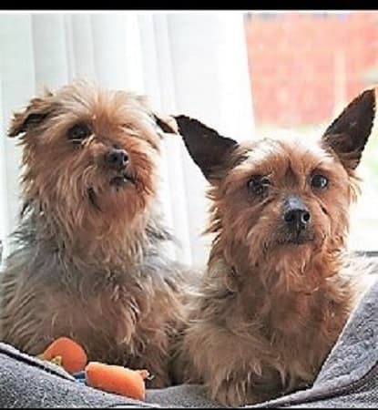 George and Mildred — Unknown