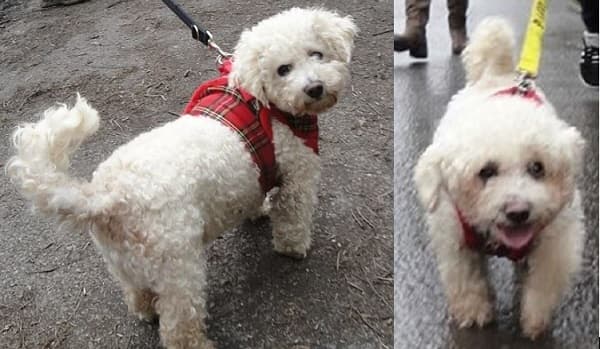 Elf and Mary — Unknown