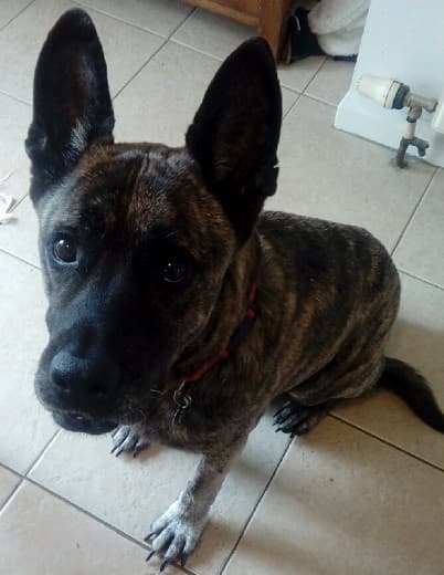 Clever Zoe — Unknown