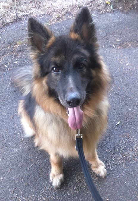 Beautiful, Dutiful Billy! — Unknown