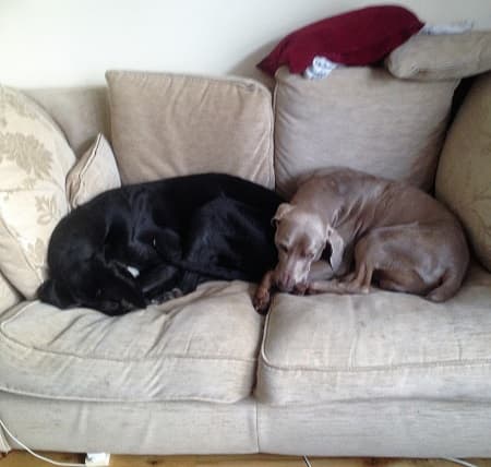 Freya and Scooby — Unknown