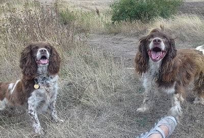 Bell & Binx — Unknown