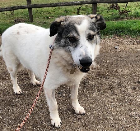 Eskimo Joe — Unknown