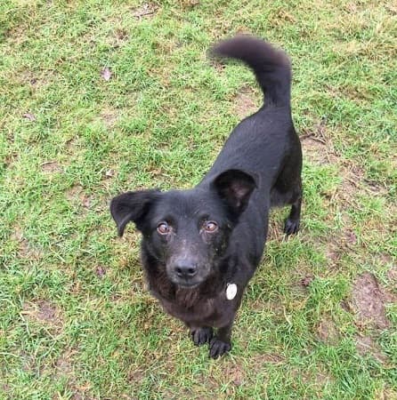 Precious — Unknown