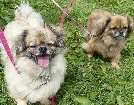 Jodie and Narla — Unknown