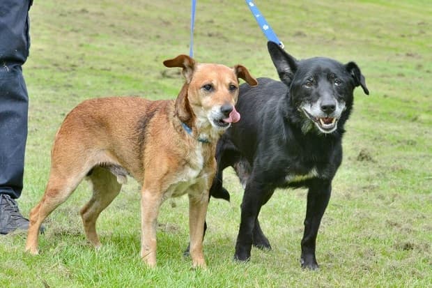 Ed and Earl — Unknown