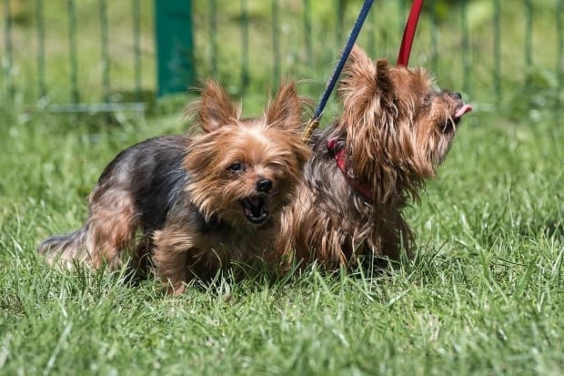 Minnie & Mo — Unknown