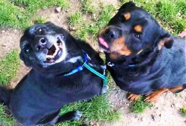 King & Magna — Unknown