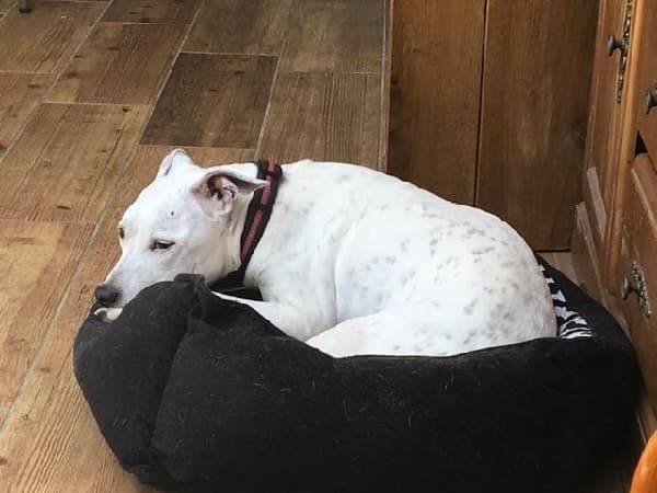 Pretty Mature Mia! — Unknown