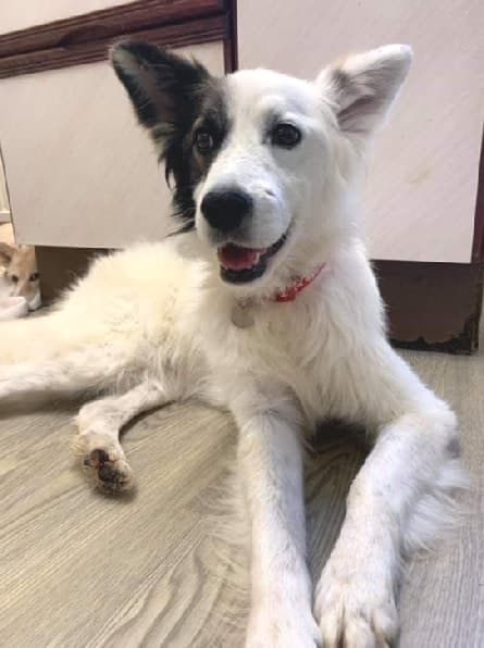 Columbus — Unknown