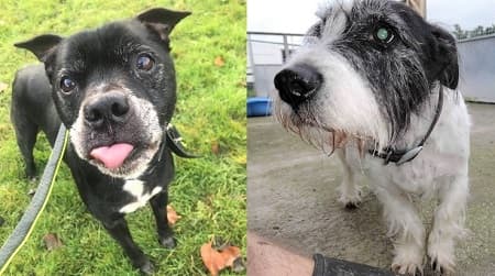 Rick and Jack — Unknown