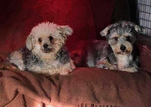 Lucky & Lottie — Unknown