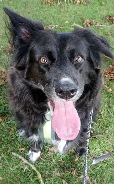 “We all love Bella!” — Unknown